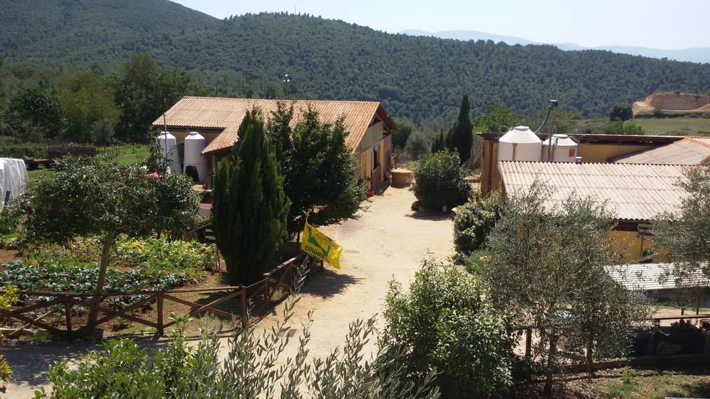 Готель Agriturismo Le Valli Acuto Екстер'єр фото